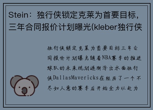 Stein：独行侠锁定克莱为首要目标，三年合同报价计划曝光(kleber独行侠)